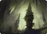 Forest (55/81) Art Card (55), Art Series: Adventures in the Forgotten Realms — Magic card price