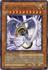 Winged Kuriboh LV10 (DP1-EN006) — card price