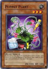 Puppet Plant (STON-EN022) — card price