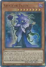 Sauge de Fleur (LED8-EN021) — card price