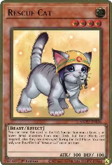 Rescue Cat (Alternate Art) (MGED-EN006) — card price