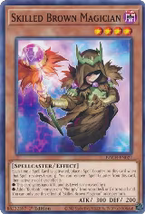 Skilled Brown Magician (BACH-EN024) — card price