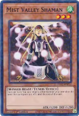 Mist Valley Shaman (Duel Terminal) (HAC1-EN057) — card price