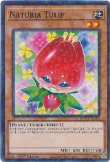 Naturia Tulip (Duel Terminal) (HAC1-EN104) — card price