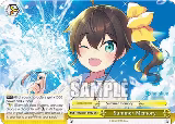 Summer Memory (HOL/W91-E032 CC) — card price