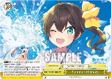 Summer Memory (RRR) (HOL/W91-E032R RRR) — card price
