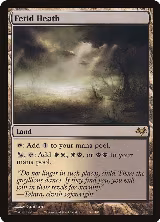 Fetid Heath (176), Eventide — Magic card price