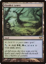 Flooded Grove (177), Eventide — Magic card price