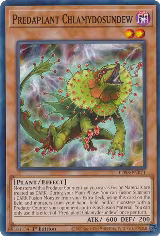 Predaplant Chlamydosundew (LDS3-EN071) — card price