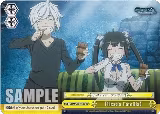 [Hestia Familia] (DDM/S88-TE08 TD), Is it Wrong to Try to Pick Up Girls in a Dungeon? — Weiß Schwarz card price