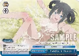 Paradise in Heaven (RRR) (DDM/S88-E099R RRR), Is it Wrong to Try to Pick Up Girls in a Dungeon? — Weiß Schwarz card price