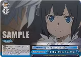 I Shall Make You Win (RRR) (DDM/S88-E098R RRR), Is it Wrong to Try to Pick Up Girls in a Dungeon? — Weiß Schwarz card price