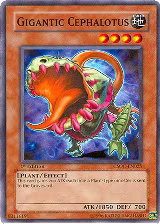 Gigantic Cephalotus (CSOC-EN025) — card price