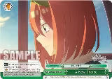 A New Choice (5HY/W90-E047 CC) — card price