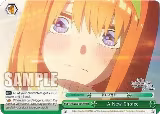 A New Choice (RRR) (5HY/W90-E047R RRR) — card price