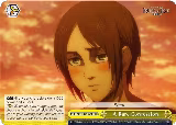 A Rare Confession (RRR) (AOT/SX04-024R RRR) — card price