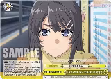 Person to Make Happy (SBY/W77-E021 CR) — card price