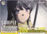 Person to Make Happy (RRR) (SBY/W77-E021R RRR), Rascal Does Not Dream of a Dreaming Girl — Weiß Schwarz card price