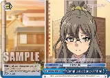 Complicated State of Mind (SBY/W77-E098 CR) — card price
