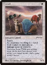 Camel — card price