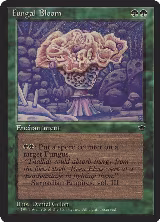 Fungal Bloom — card price