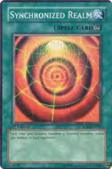 Synchronized Realm (5DS1-EN022) — card price