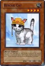 Rescue Cat (CP05-EN015), Champion Pack 5 — Yu-Gi-Oh! card price