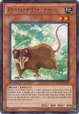 Playful Possum (DREV-EN007) — card price
