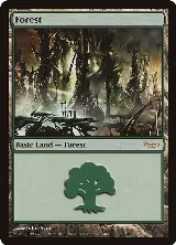 Forest (2004) (5) — card price