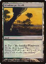 Windswept Heath (9), Judge Promos — Magic card price