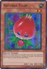 Naturia Tulip (HA03-EN013) — card price