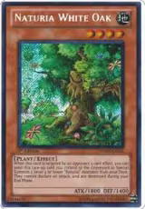 Naturia White Oak (HA04-EN051) — card price