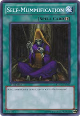 Self-Mummification (EXVC-EN062) — card price