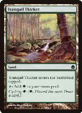 Tranquil Thicket (292) — card price