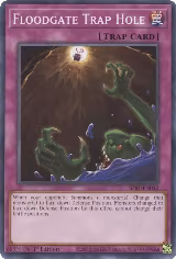 Floodgate Trap Hole (SDBT-EN032) — card price