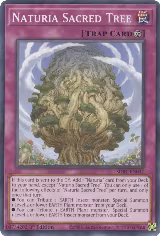 Naturia Sacred Tree (SDBT-EN037) — card price