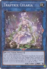 Traptrix Cularia (SDBT-EN041) — card price