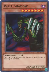 Wall Shadow (SRL-EN056) — card price