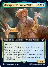 Radagast, Wizard of Wilds (Extended Art) (147) — card price
