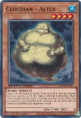Cloudian - Altus (SGX3-ENH04) — card price
