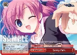 Sunny Park (RRR) (GRI/S72-E077R RRR) — card price
