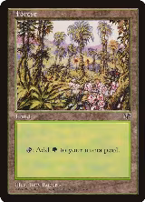 Forest (Pink Flowers Right) — card price