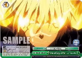 Meeting After 2 Years (TSK/S101-E042 CR) — card price