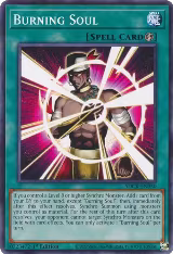 Burning Soul (SDCK-EN030) — card price
