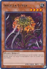 Ibicella Lutea (VASM-EN052) — card price