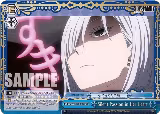Silent Passion in Her Heart (SPY/S106-E099 CC) — card price