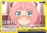 Tearful Apology (SPY/S106-E026 CC) — card price