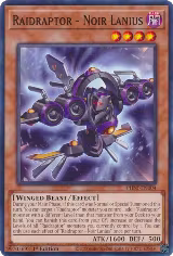 Raidraptor - Noir Lanius (PHNI-EN004) — card price