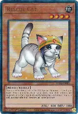 Rescue Cat (Alternate Art) (PUR) (RA02-EN001), 25th Anniversary Rarity Collection II — Yu-Gi-Oh! card price