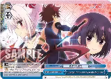 Exorcist Ninja and Ayakashi Medium (RRR) (AYT/W110-TE19R RRR) — card price